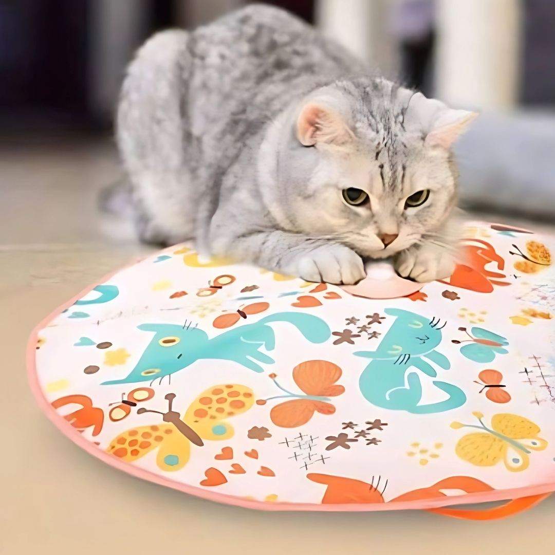 Jouet pour chat | CrazyPlume™