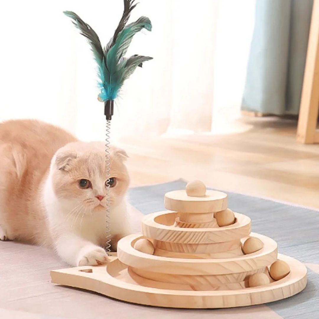 jouet-pour-chat-assis