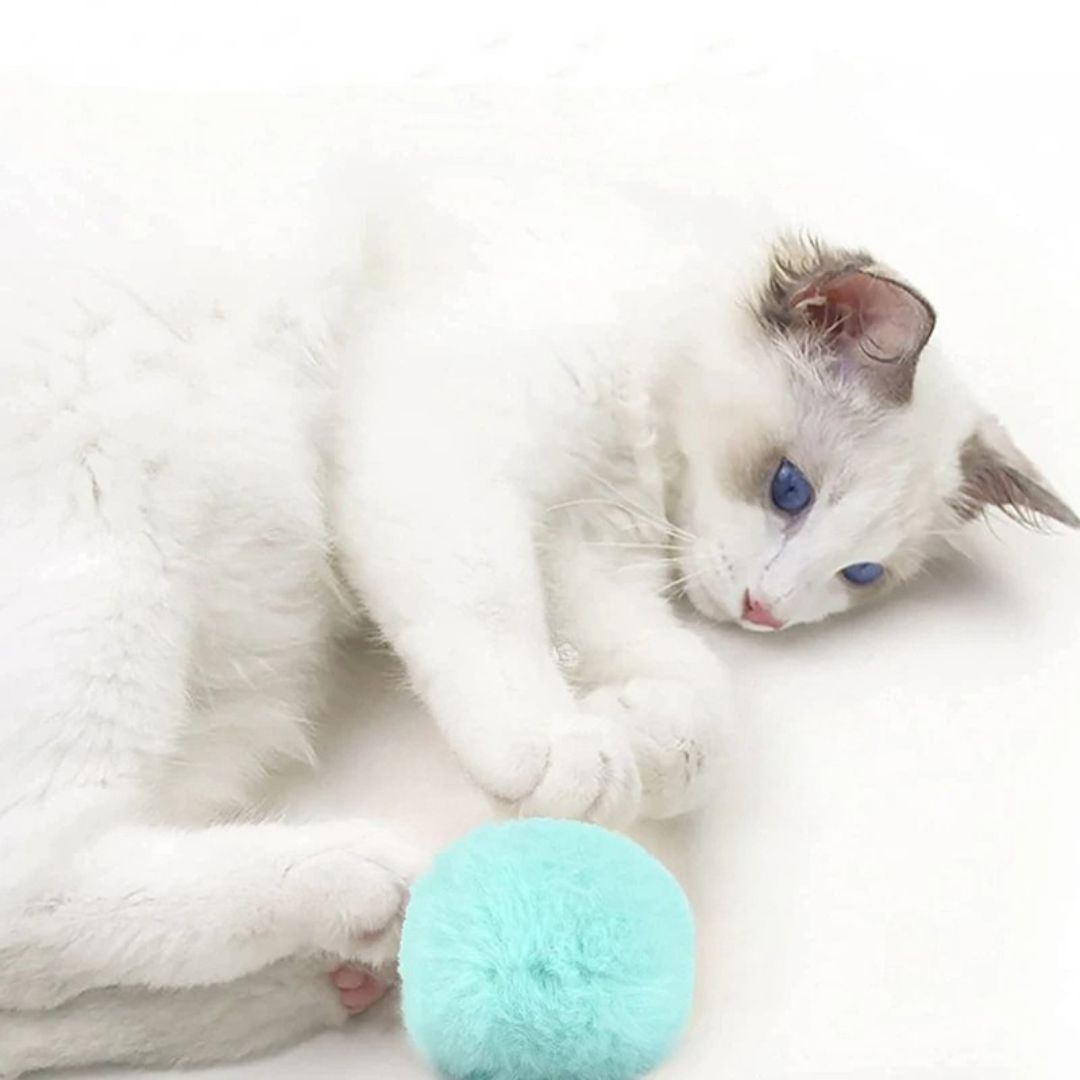 jouet-pour-chat-balle-bleue