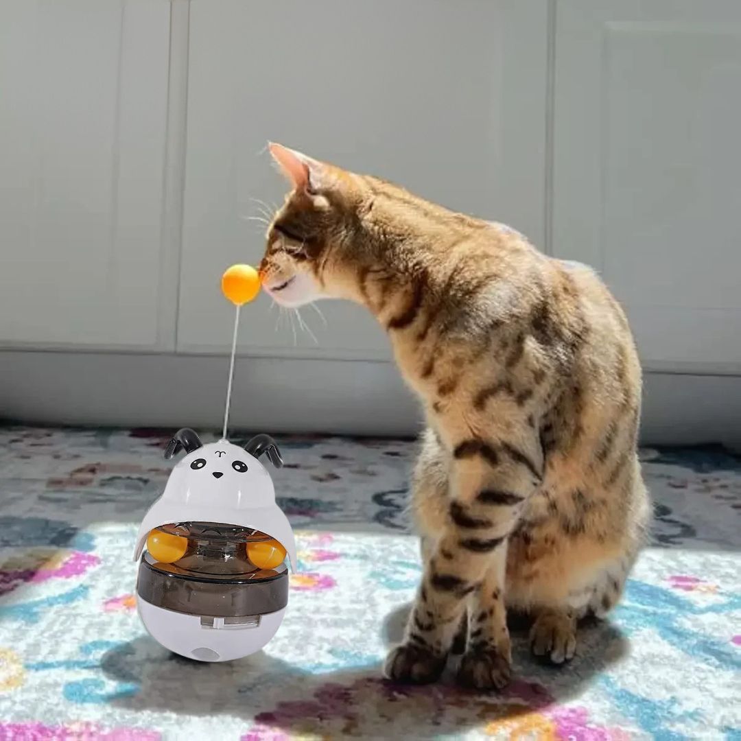 jouet-pour-chat-blanc