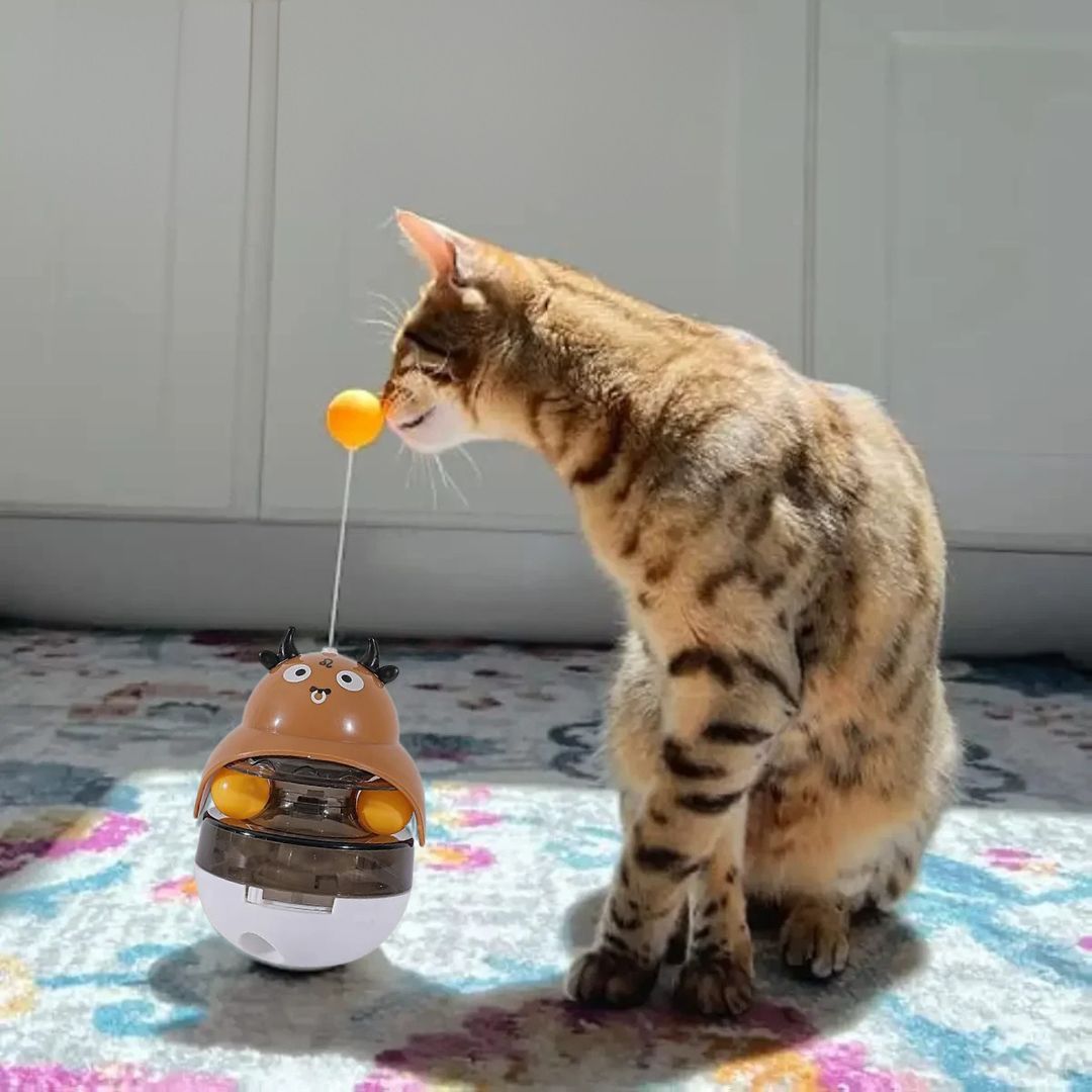 jouet-pour-chat-brun