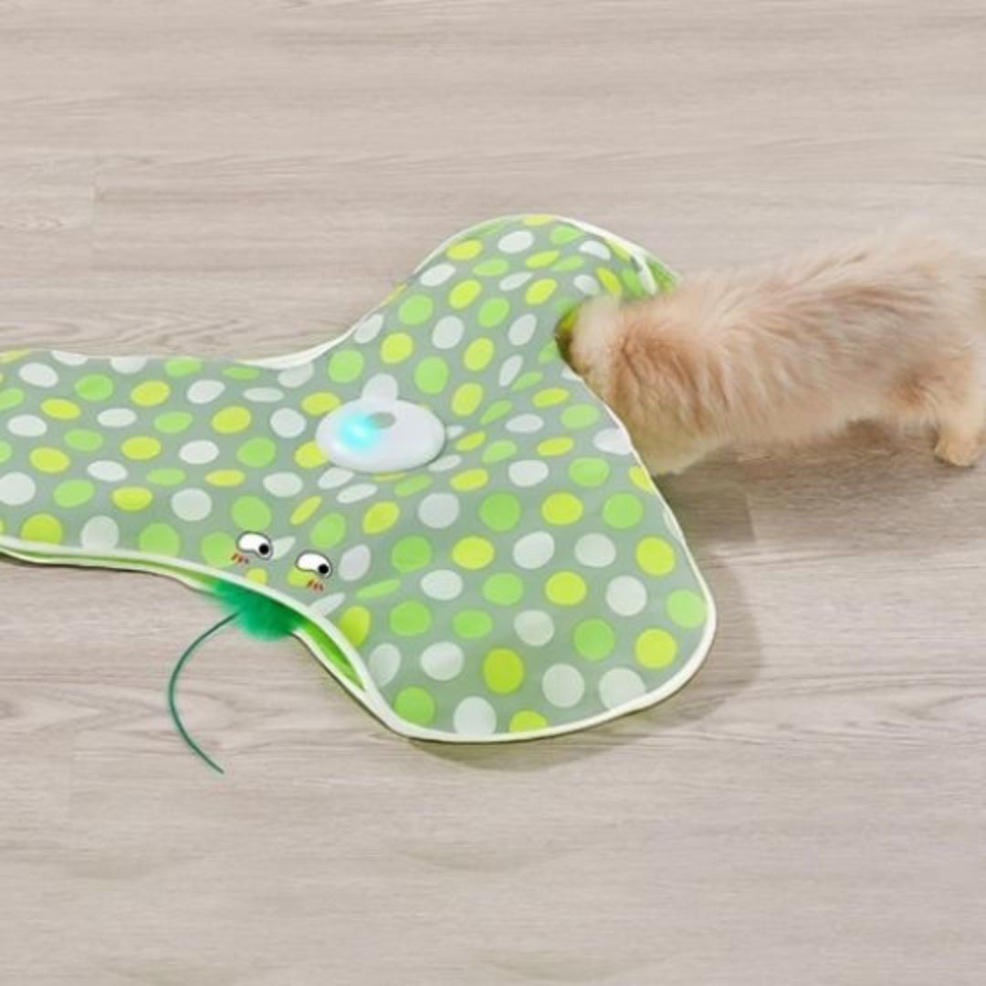 jouet-pour-chat-cachette