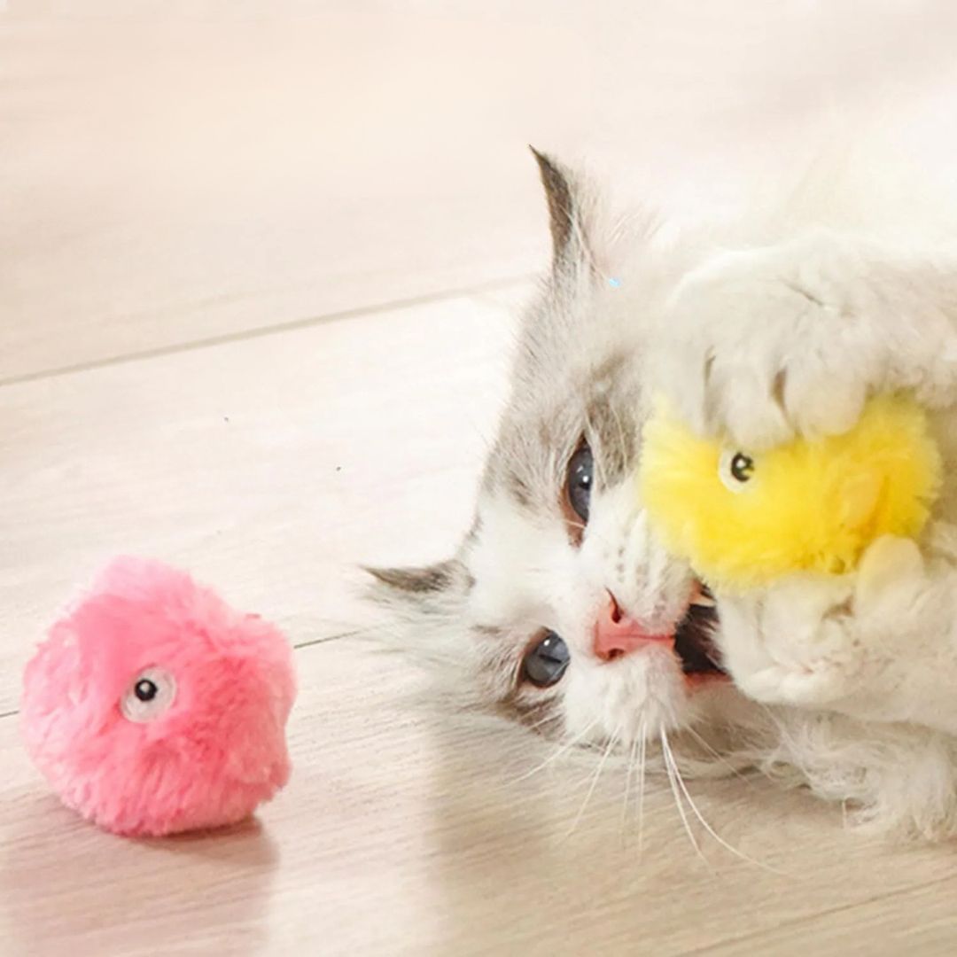 jouet-pour-chat-catch