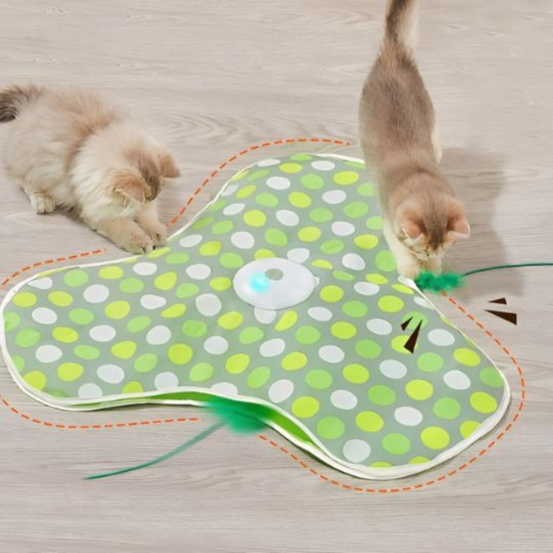 jouet-pour-chat-chasse