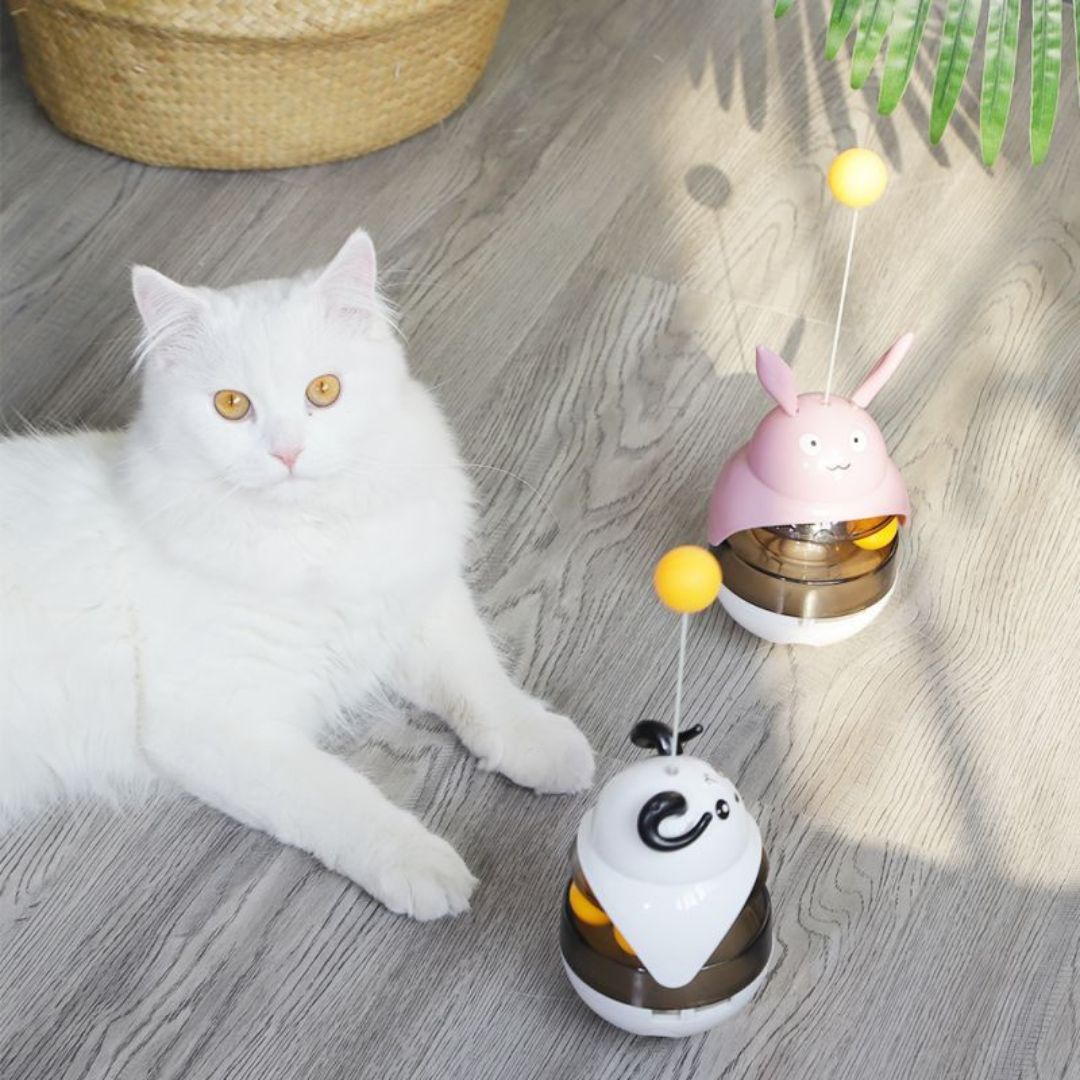 jouet-pour-chat-distributeur