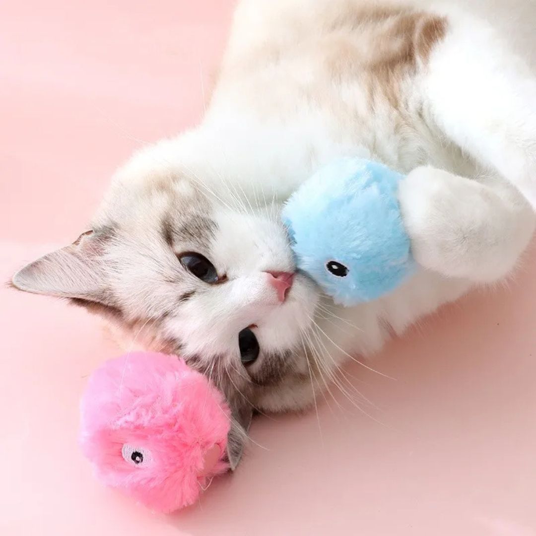 jouet-pour-chat-dos