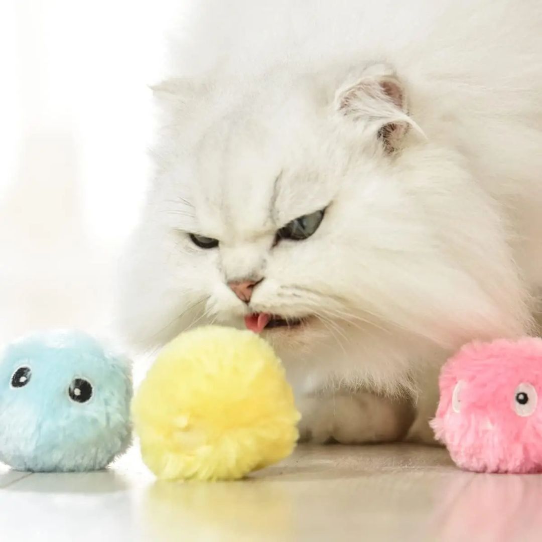 jouet-pour-chat-langue