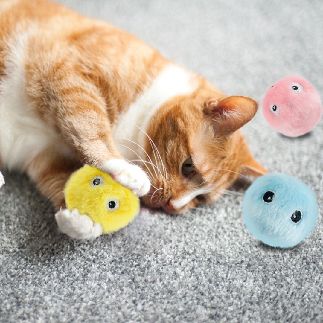 jouet-pour-chat-patte