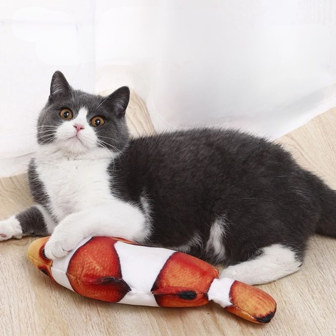 Jouet pour chat | FishyFun™