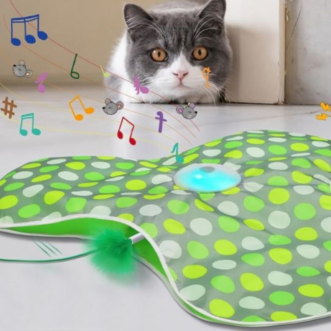 jouet-pour-chat-son