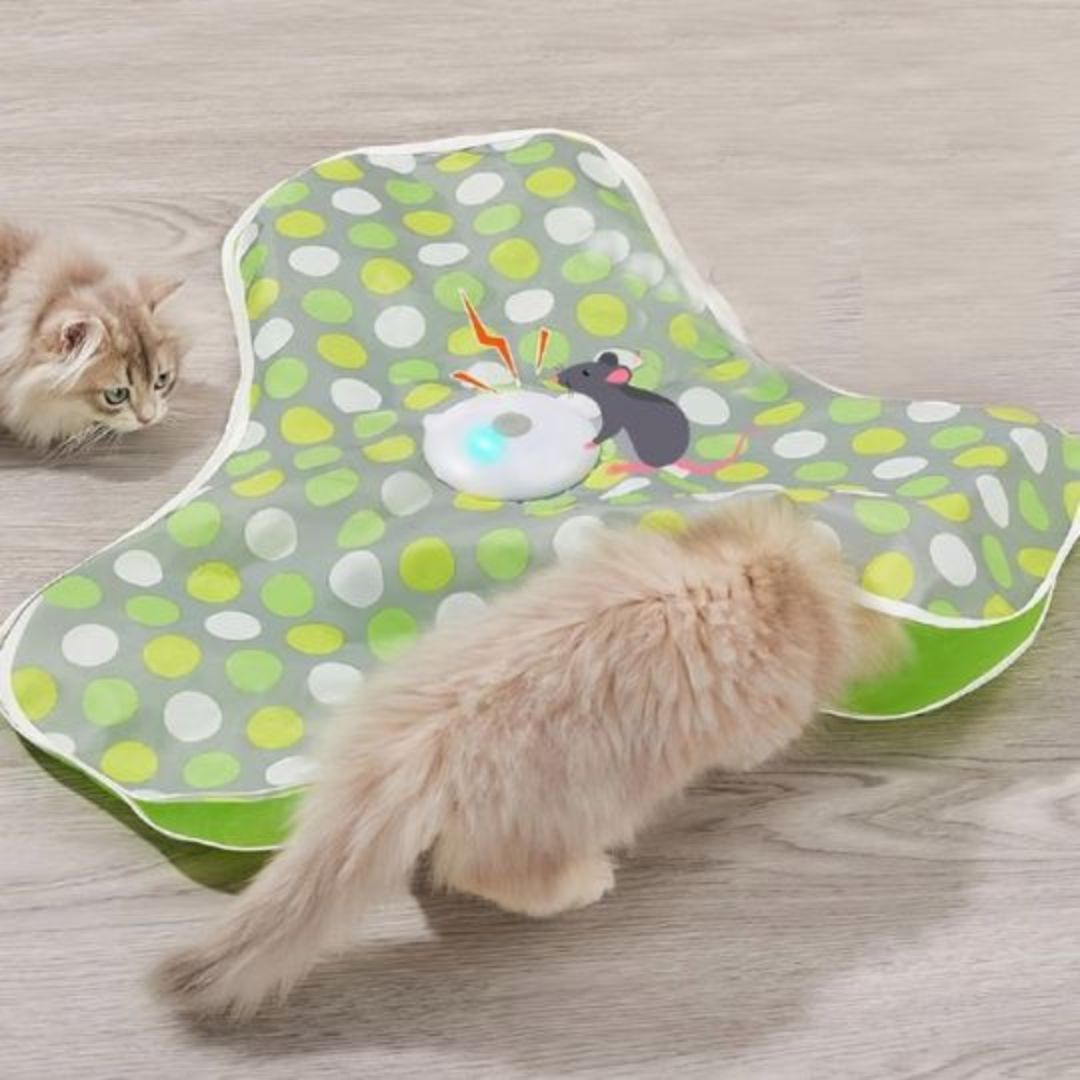jouet-pour-chat-souris-cri