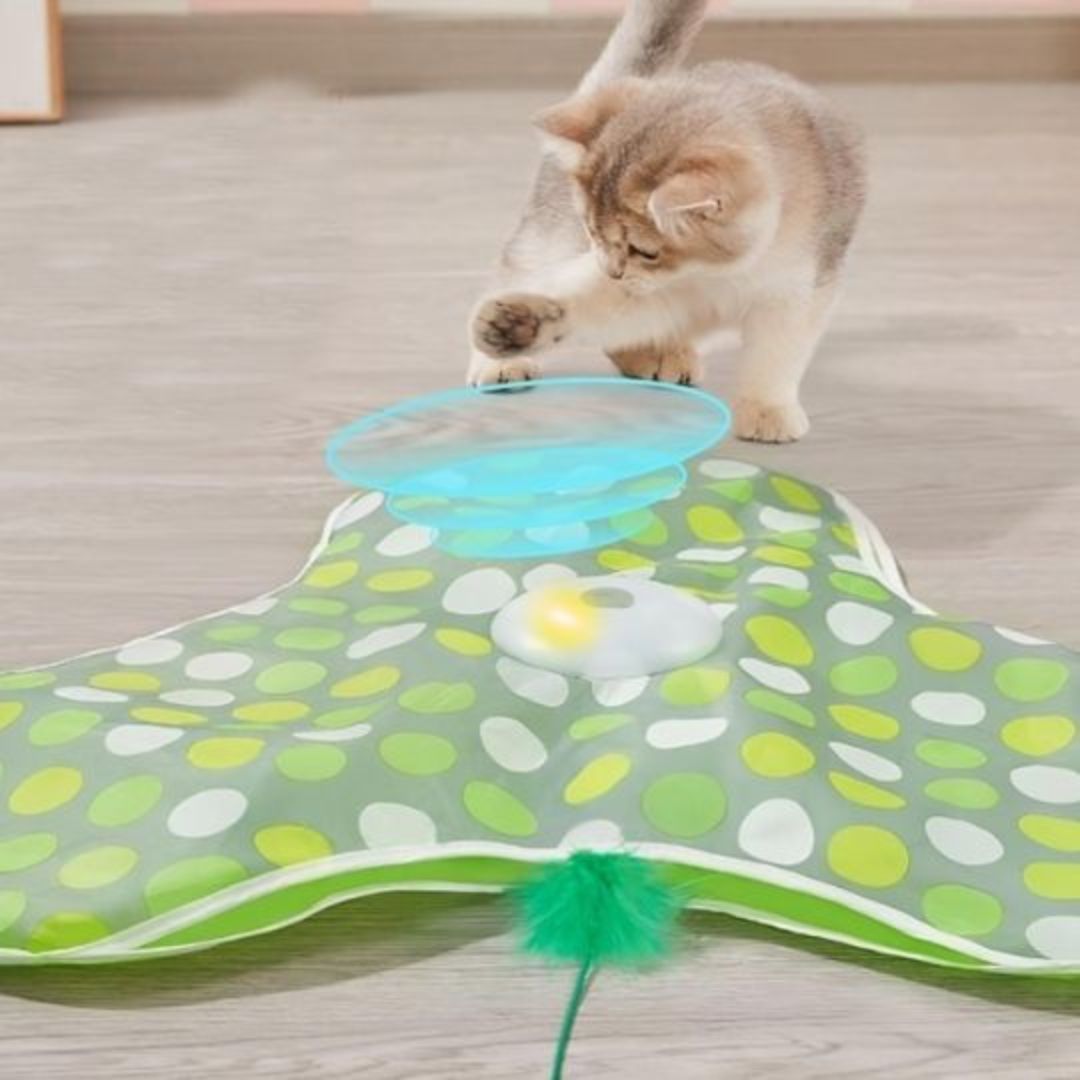 jouet-pour-chat-tourne