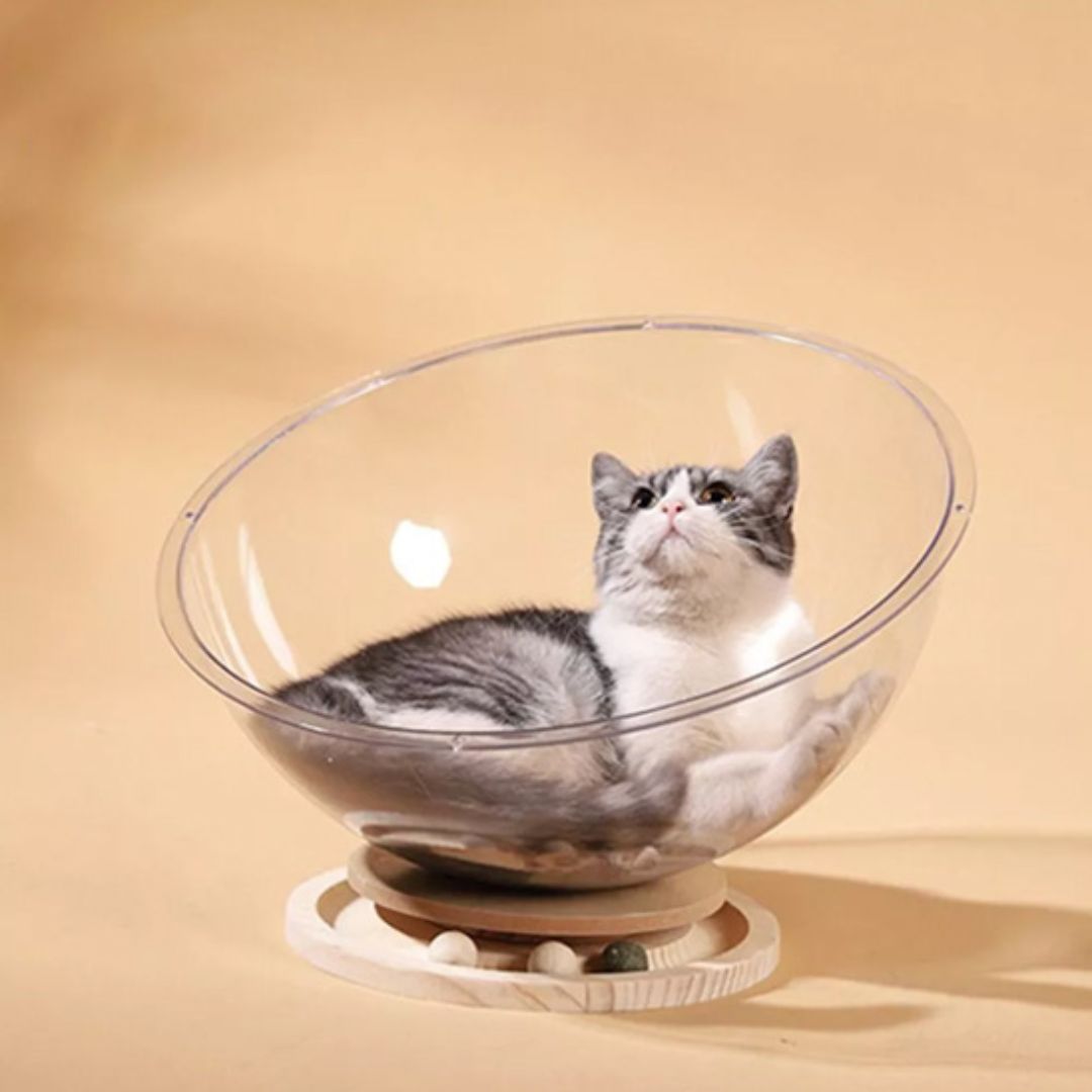 lit-pour-chat-sphere