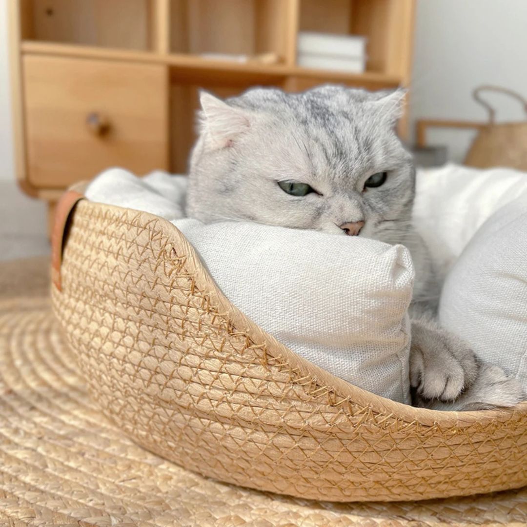 panier-chat-repos