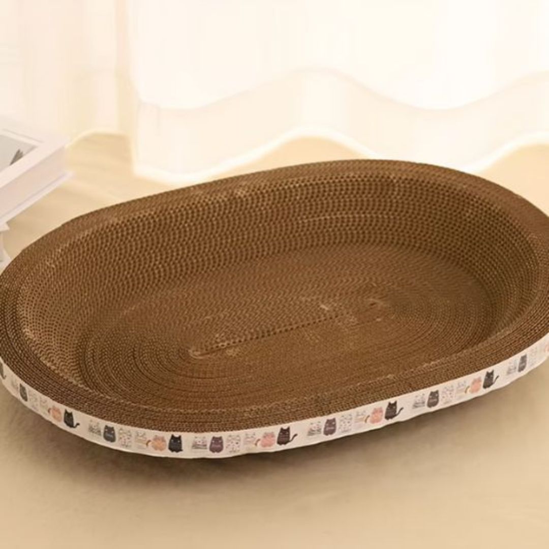 Griffoir chat | CosyGriff™