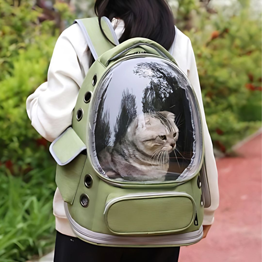 sac-a-dos-chat-couleur-vert