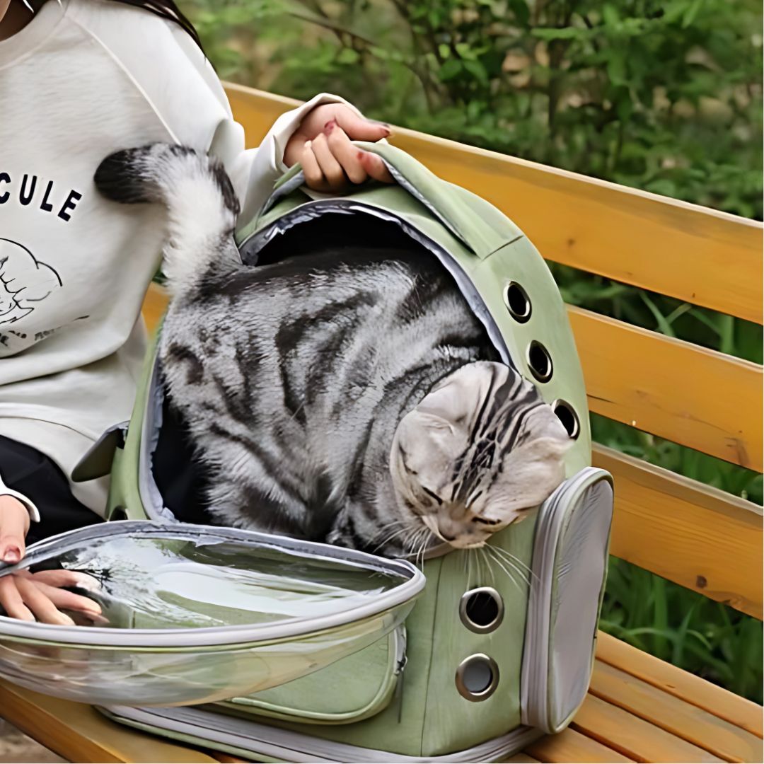 sac-a-dos-chat-dehors