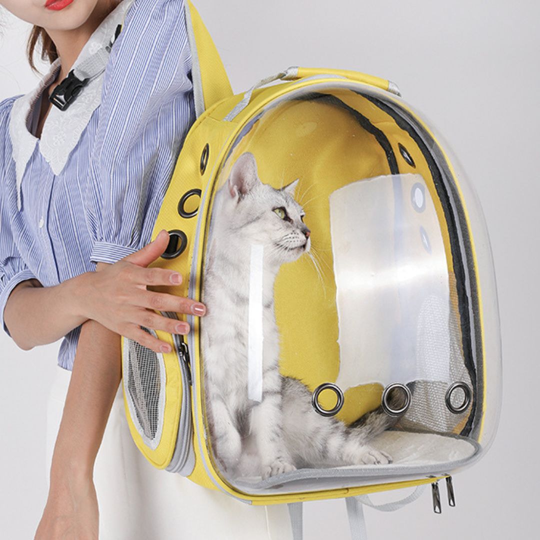 sac-a-dos-chat-jaune