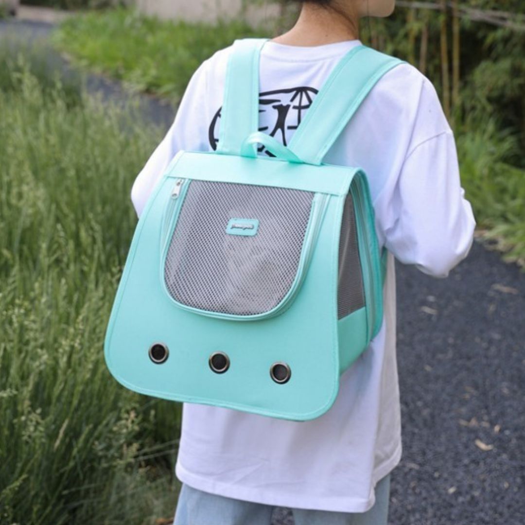 sac-de-transport-chat-couleur-turquoise