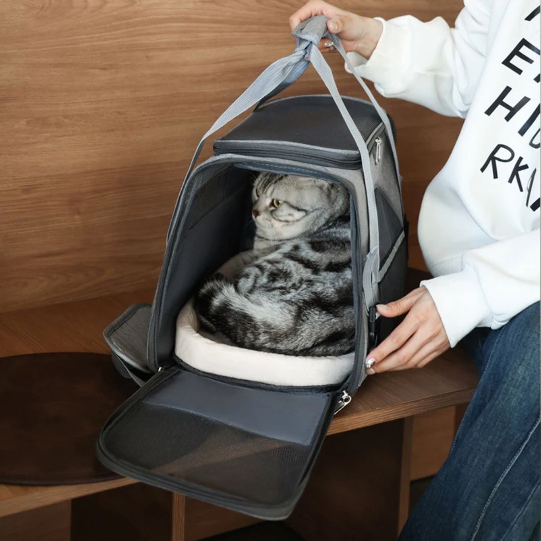 sac-de-transport-pour-chat-interieur