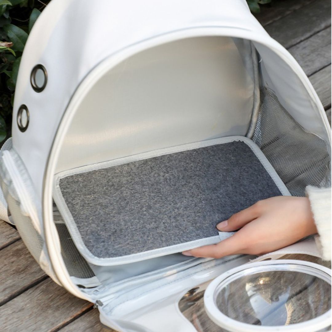 sac-de-transport-pour-chat-tapis