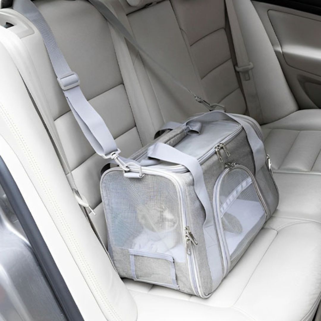 sac-de-transport-pour-chat-voiture