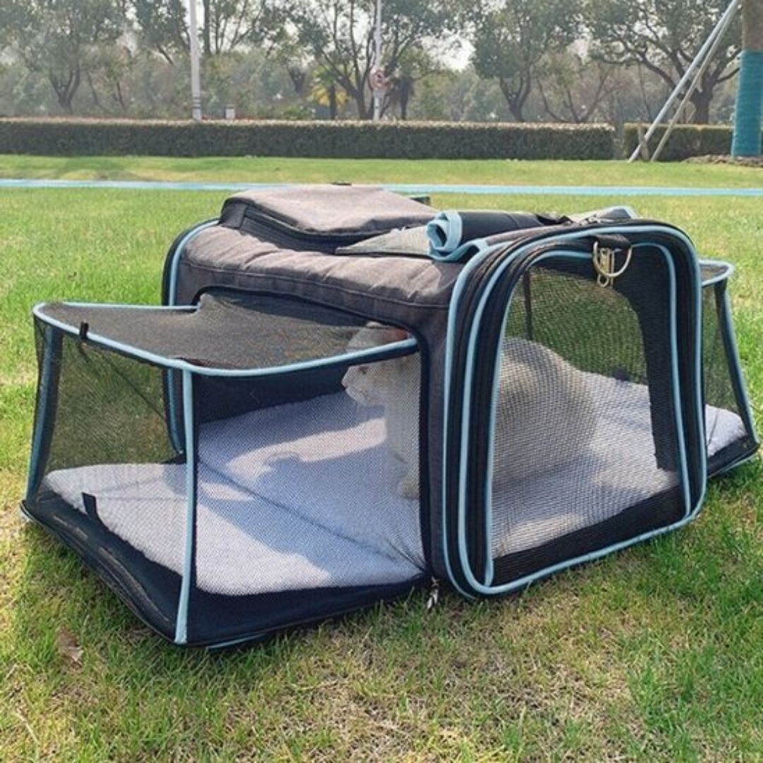 sac-transport-chat-bleu