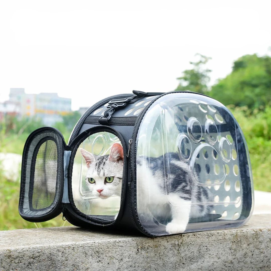 sac-transport-chat-chaton