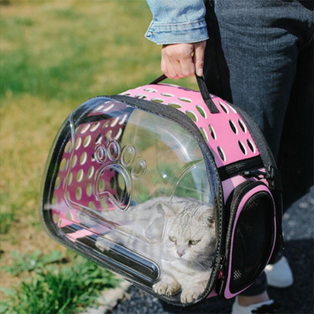 sac-transport-chat-rose