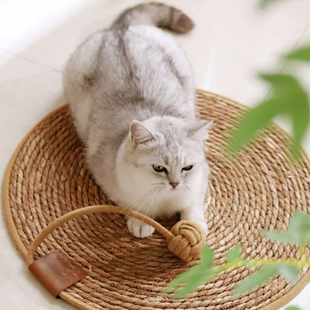 tapis-griffoir-chat-balle