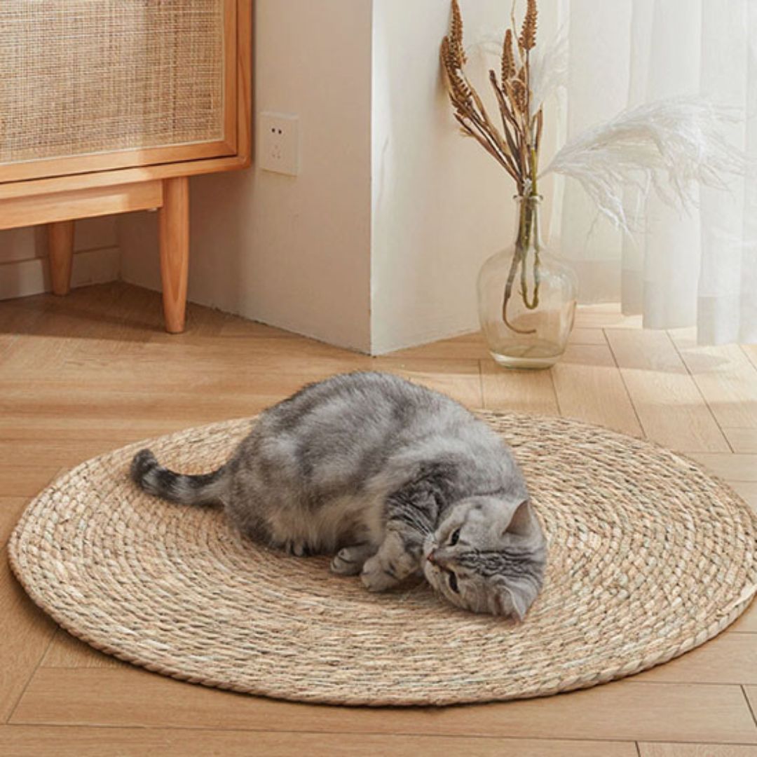 tapis-griffoir-chat-confort