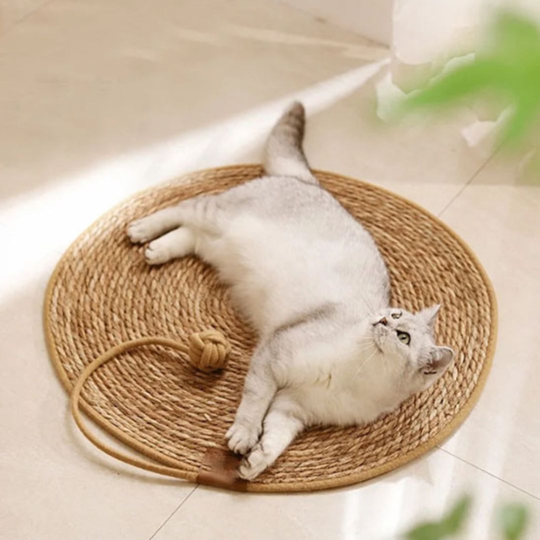 tapis-griffoir-chat-couchage
