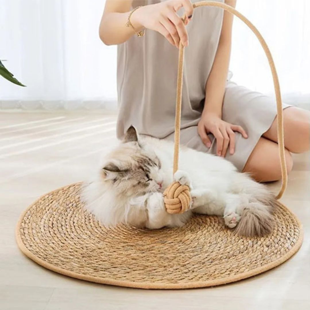 tapis-griffoir-chat-jeu