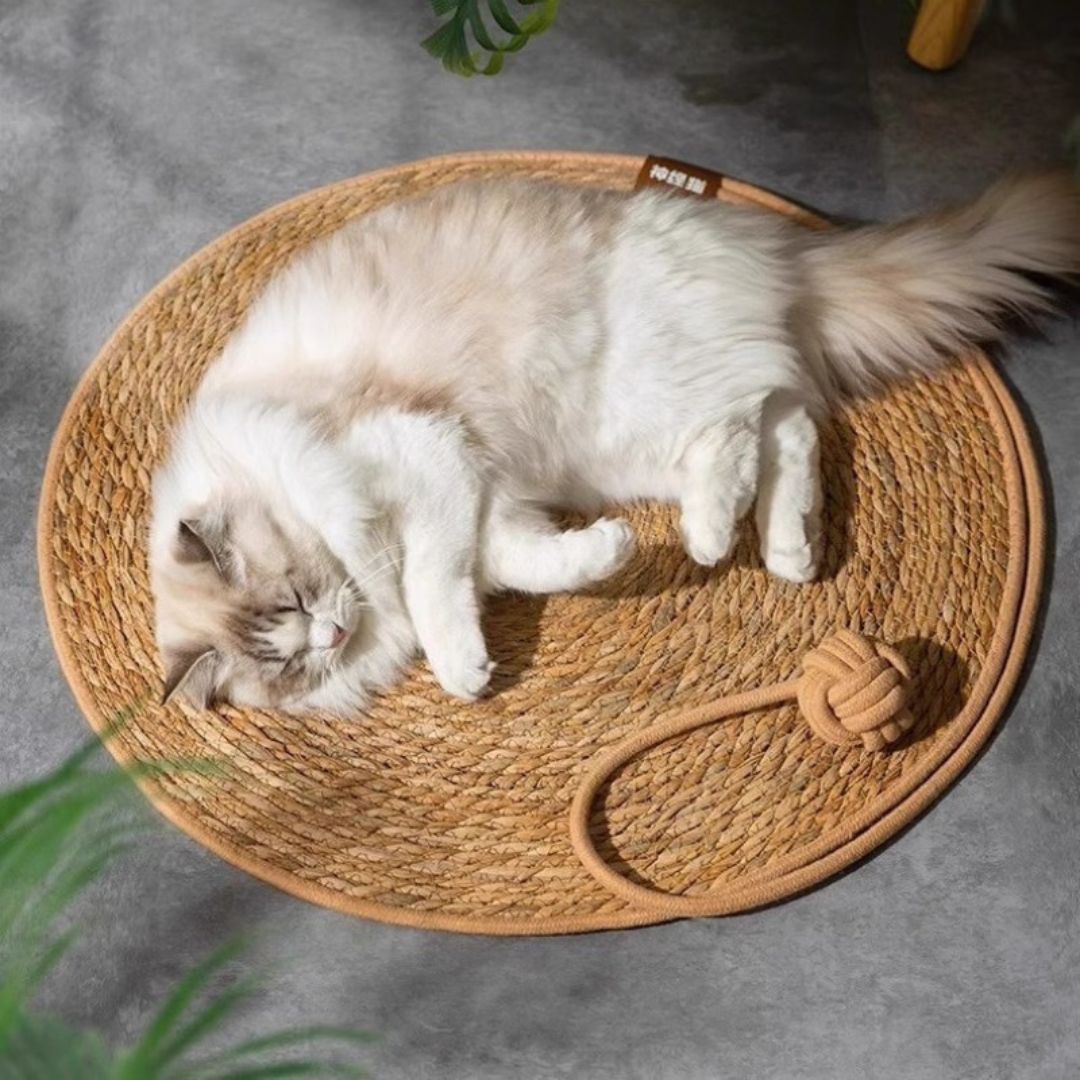 tapis-griffoir-chat-repos