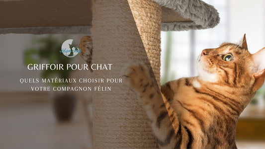 griffoir-chat-matériau