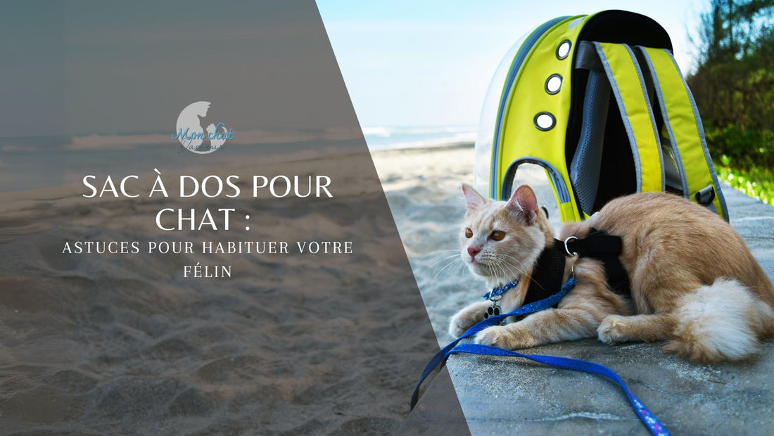 sac-a-dos-chat