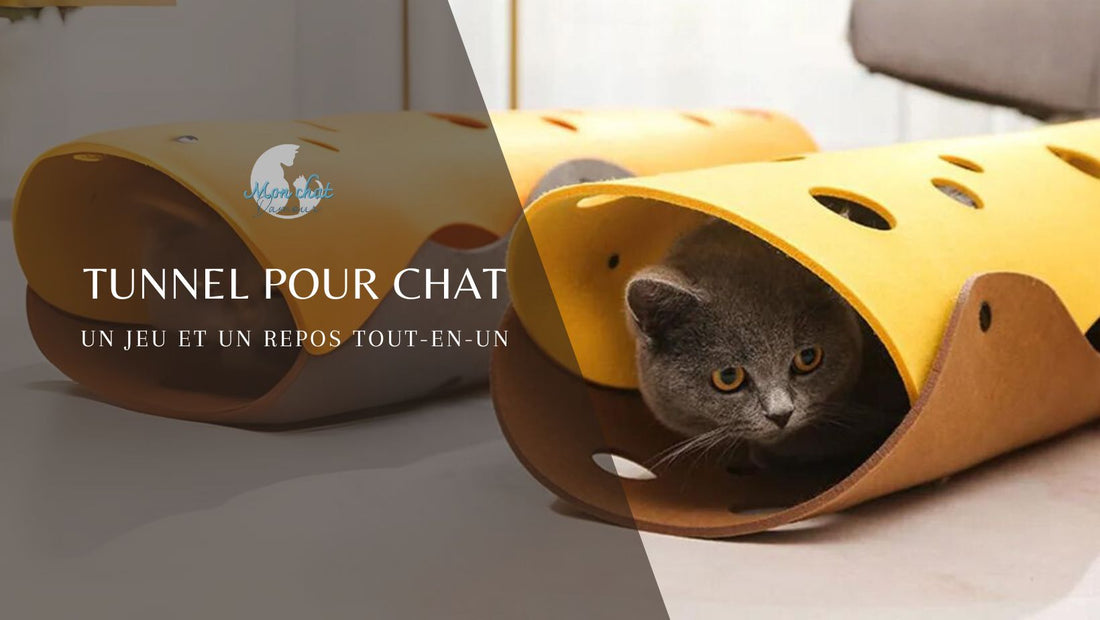 tunnel-pour-chat