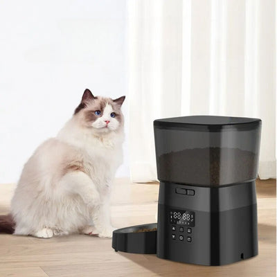 Distributeur de croquettes pour chat: L'allié de votre félin gourmand