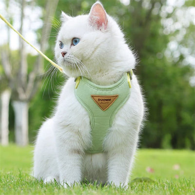 Harnais chat