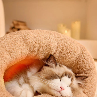 lit-pour-chat