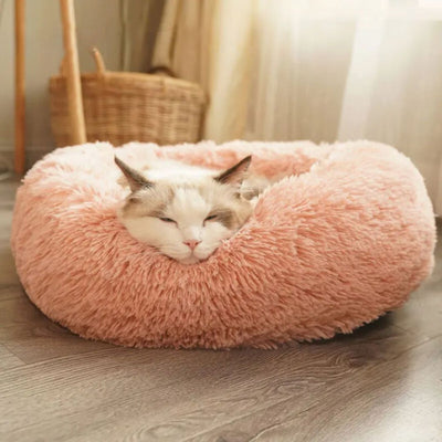 panier-chat