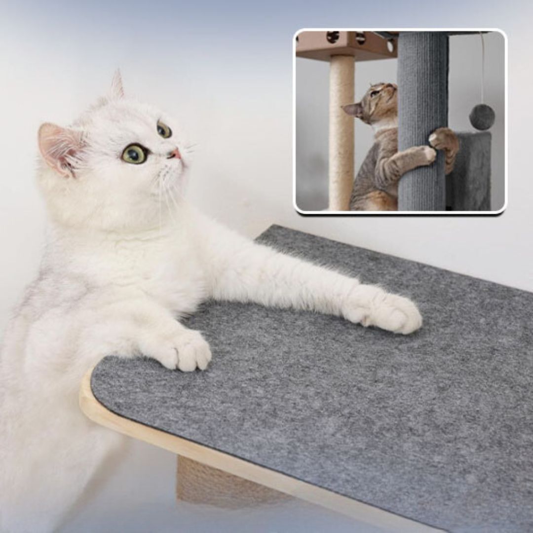 Tapis griffoir chat | GriffOMat™