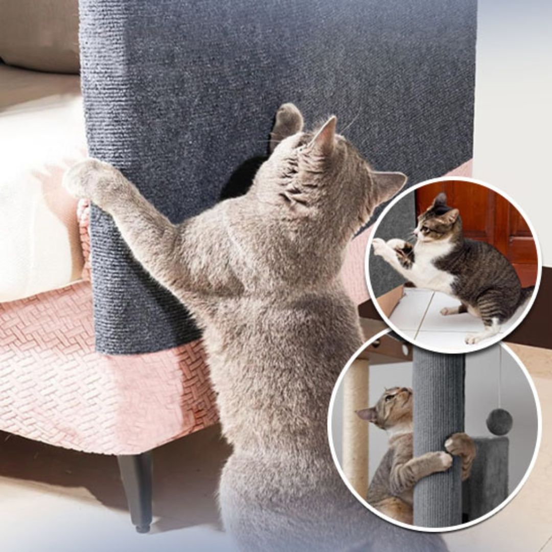 Tapis griffoir chat | GriffOMat™