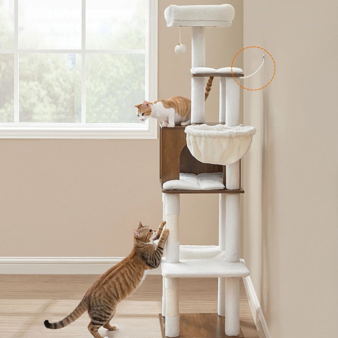 arbre-a-chat-antibasculement