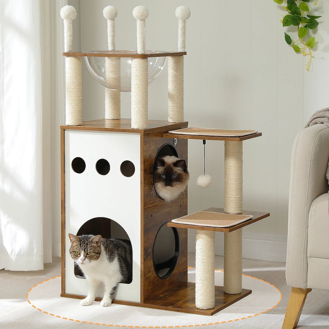 arbre-a-chat-base