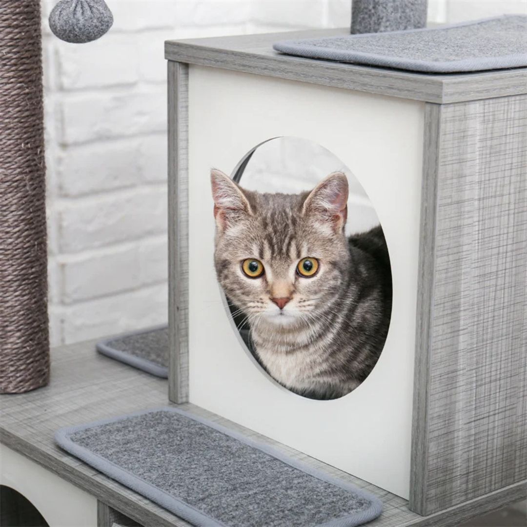arbre-a-chat-cacher
