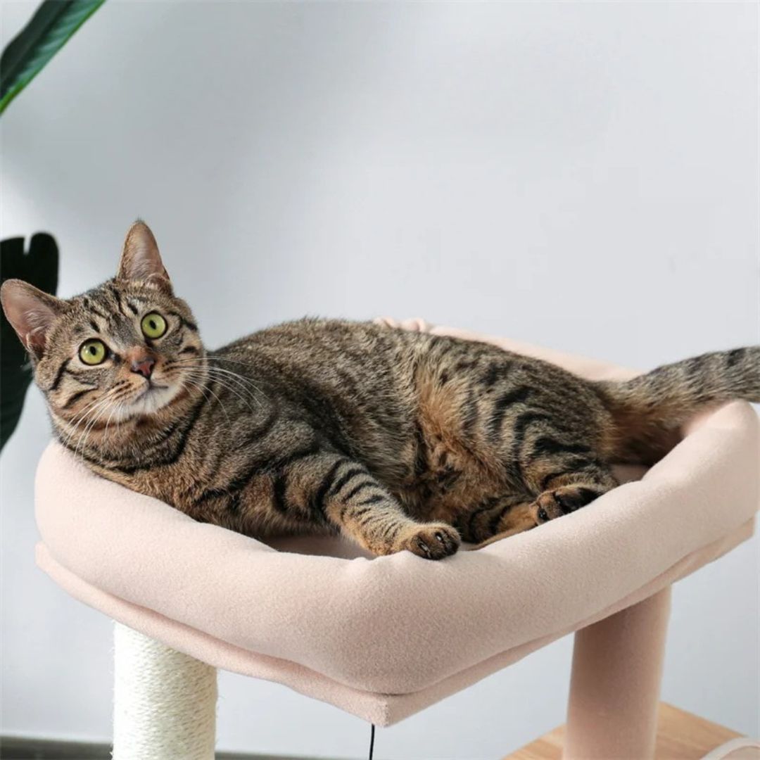 arbre-a-chat-coussin