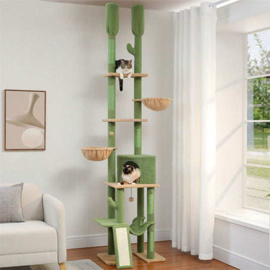 arbre-a-chat-duo