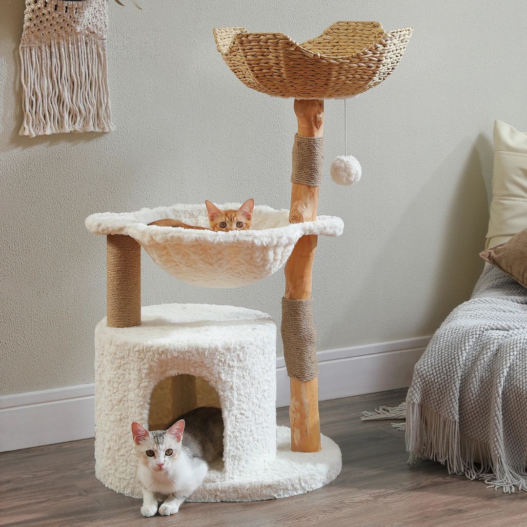 arbre-a-chat-en-bois-blanc