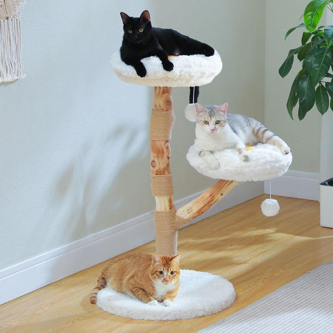 arbre-a-chat-en-bois-confort